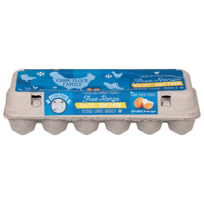 Blue Sky Soy Free Free Eggs - 12 Count - Image 1
