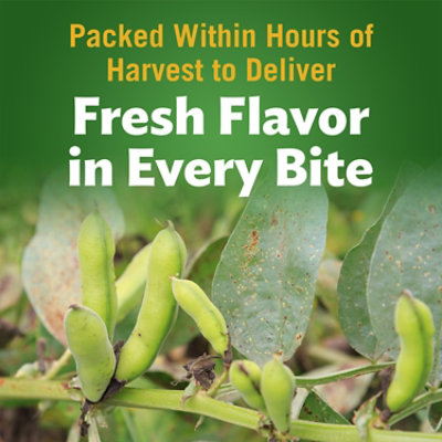 Del Monte Harvest Selects Green Lima Beans - 15.25 Oz - Image 5