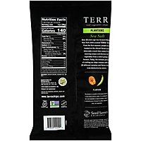 TERRA Sea Salt Plantain Chips - 5 Oz - Image 5