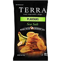 TERRA Sea Salt Plantain Chips - 5 Oz - Image 2