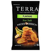 TERRA Sea Salt Plantain Chips - 5 Oz - Image 1