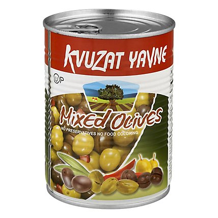 Kvuzat Yavne Mixed Olives - 19 Oz - Image 1