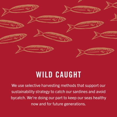 King Oscar Sardines In Water - 3.75 Oz - Image 7