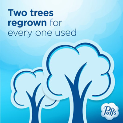Puffs Plus Lotion Facial Tissue 2 Ply - 6-124 Count - Image 8