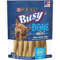 Purina Busy Bone Dog Treats 12 Count - 21 Oz - Image 1