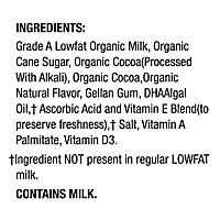 Horizon Organic Chocolate Milk DHA Omega-3 Lowfat - 6-8 Fl. Oz. - Image 5