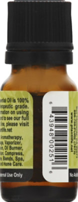 Plantlife Essential Oil Single Note Cinnamon Leaf, 0.34 Fz - 0.33814 Fl. Oz. - Image 3