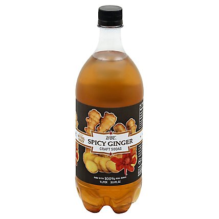 Wbc Spicy Ginger Soda - Liter - Image 1