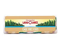 Land O Lakes Eggs Cage Free Grade A Brown Large - 12 Count