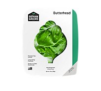 Gotham Greens Lettuce Butterhead - 4.5 Oz