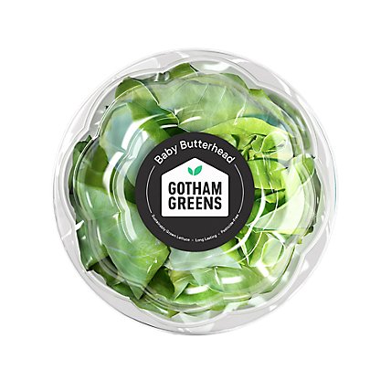 Gotham Greens Lettuce Baby Butterhead Bowl - Each - Image 2