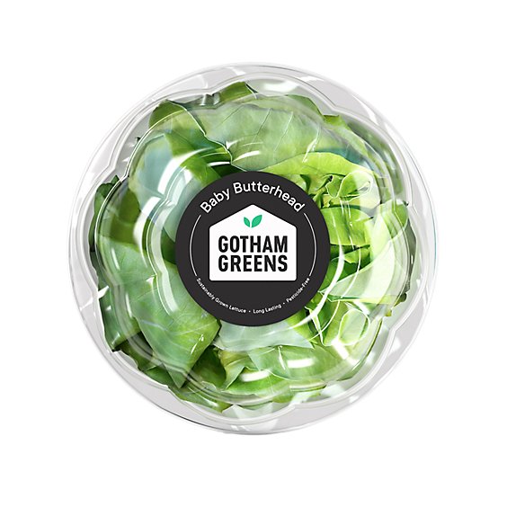 Gotham Greens Lettuce Baby Butterhead Bowl - Each
