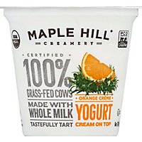 Maple Hill Creamery 100% Grass-Fed Cows Creamline Yogurt Orange Creme - 6 Oz - Image 2
