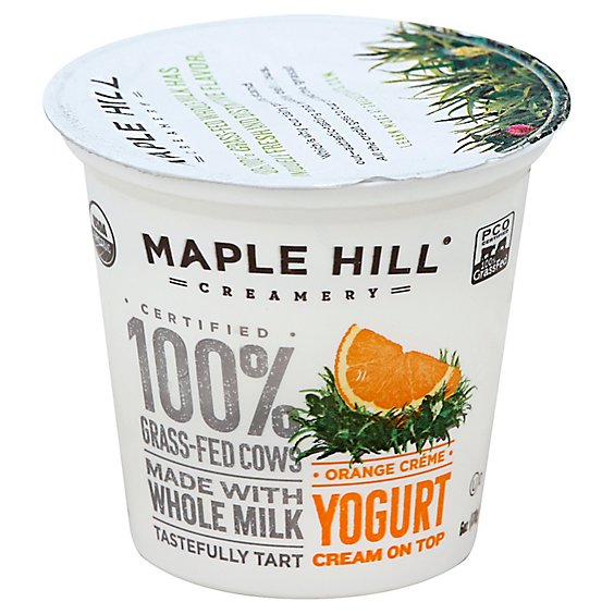 Maple Hill Creamery 100% Grass-Fed Cows Creamline Yogurt Orange Creme - 6 Oz