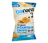 Barnana Plantain Salt Vinegar - 5 Oz