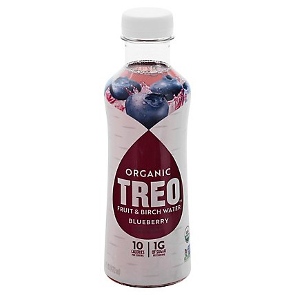 Treo Blueberry Water Birch Infusion - 16 Fl. Oz. - Image 3