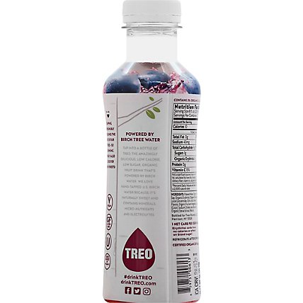 Treo Blueberry Water Birch Infusion - 16 Fl. Oz. - Image 6