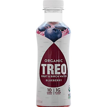 Treo Blueberry Water Birch Infusion - 16 Fl. Oz. - Image 2