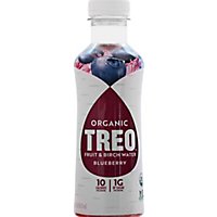 Treo Blueberry Water Birch Infusion - 16 Fl. Oz. - Image 2