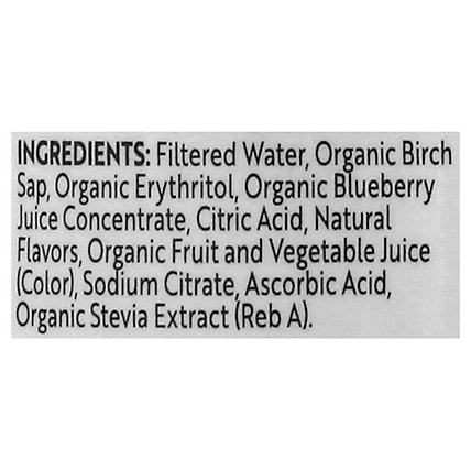 Treo Blueberry Water Birch Infusion - 16 Fl. Oz. - Image 5