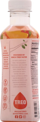 Treo Peach Mango Water Birch Infusion - 16 Fl. Oz. - Image 6