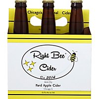Right Bee Hard Apple Cider - 6-12 Fl. Oz. - Image 2