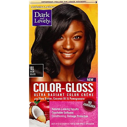 Dark and Lovely Rich Black Hair Color Gloss - Each - Image 1