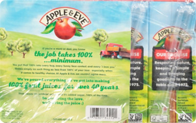 Apple & Eve 100% Juice Fruit Punch - 8-6.75 Fl. Oz. - Image 6