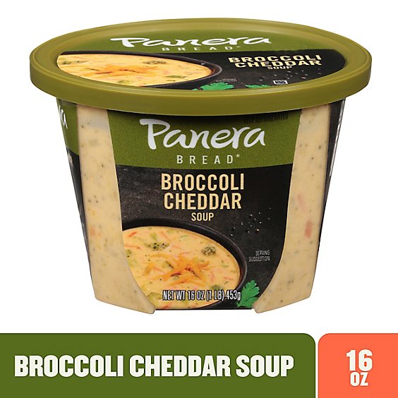 Panera Bread Broccoli Cheddar Soup - 16 Oz
