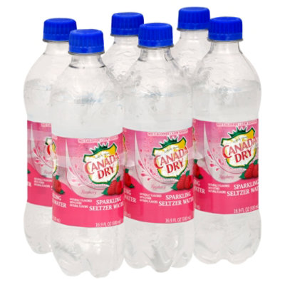 Canada Dry Raspberry Seltzer 616.9 Fl. Oz. Shaw's