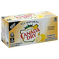 Canada Dry Green Tea Ginger Ale - 8-12 Fl. Oz. - Image 1