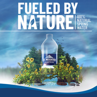 Ice Mountain 100% Natural Spring Water - 1 Gallon - Image 3