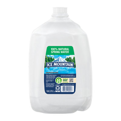 Ice Mountain Mini Natural Spring Water, 8 Fl. Oz., 12 Count 