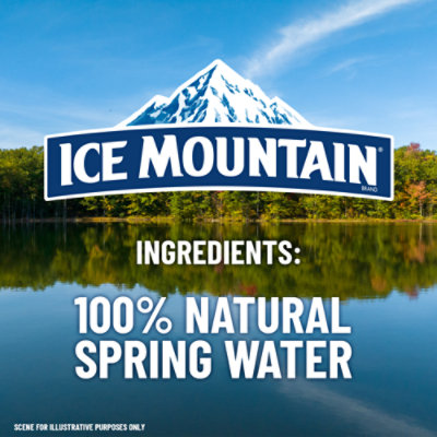 Ice Mountain No Flavor Natural Spring Water Bottle - 33.8 Oz - Image 4