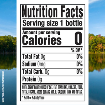 Ice Mountain 100% Natural Spring Water - 24-16.9 Fl. Oz. - Image 4