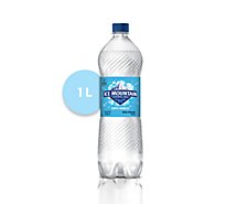 Ice Mountain 100% Natural Spring Water Sparkling Simply Bubbles - 33.8 Fl. Oz.