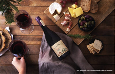 Cono Sur Wine Organic Pinot Noir - 750 Ml - Image 3