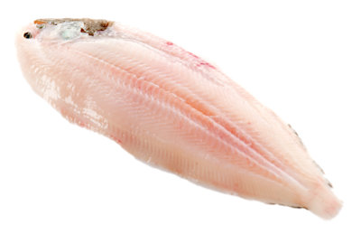 Fish Sole Grey Fillet Previously Frozen Service Case - 0.75 Lb - Image 1