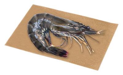 Seafood Counter Shrimp Black Tiger 4 To 6 Count Service Case - 0.25 LB - Image 1