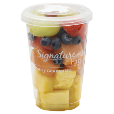 Fruit Salad Premium Small - 9 Oz - Image 1