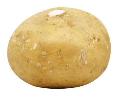 Jicama Organic - Image 1