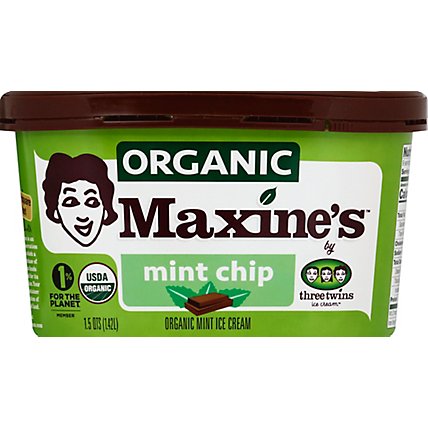 Maxines Ice Cream Mint Choc Chip - 48 Oz - Image 2
