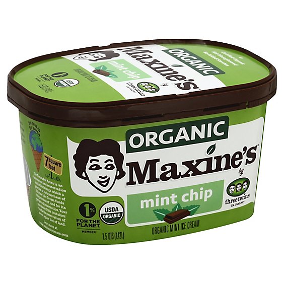 Maxines Ice Cream Mint Choc Chip - 48 Oz