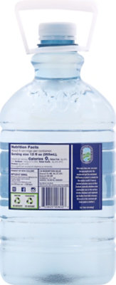 1907 Artisan Water Alkaline New Zealand Jug - 2 Liter - Image 5