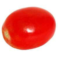 Organic Roma Tomato - Each - Image 1