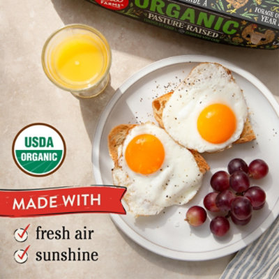 Vital Farms Organic Eggs Pasture Raised Large Grade A Tray - 12 Count - Image 2