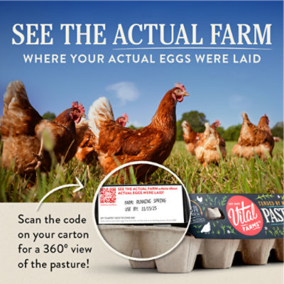 Vital Farms Organic Eggs Pasture Raised Large Grade A Tray - 12 Count - Image 3