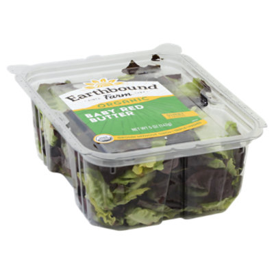 North Shore Cilantro Value Pack - Each