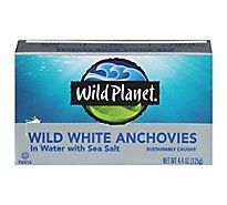 Wild Planet Anchovies White Wild Caught In Water With Sea Salt Box - 4.4 Oz
