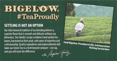 Bigelow Tea Bags Green With Ginger Plus Probiotics 18 Count - 0.90 Oz - Image 2